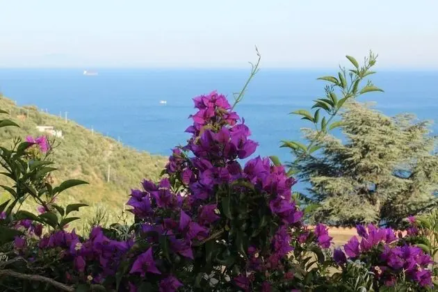 Villa, 4 Yatak Odası, Sigara İçilebilir, Sıcak Su Havuzu