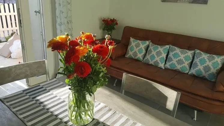 Comfort Apart Daire, 1 Yatak Odası (Spring Garden)