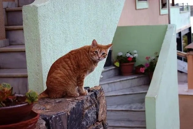 Ev, Deniz Manzaralı