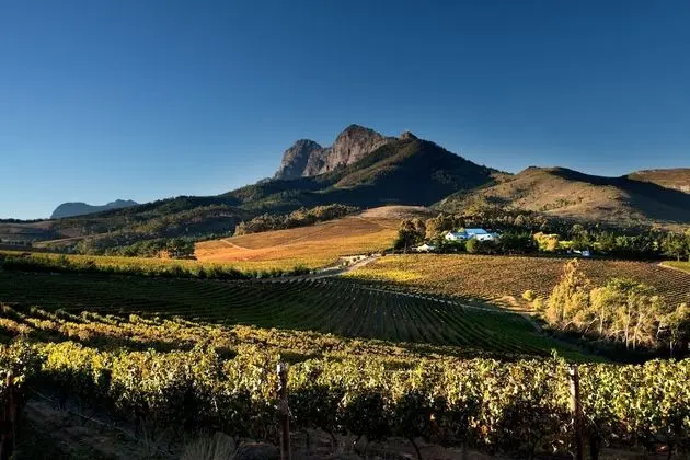 Superior Üç Kişilik Oda