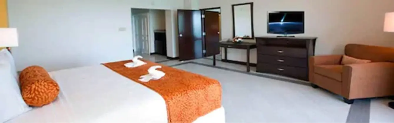 Premium Oda, 1 En Büyük (King) Boy Yatak, Okyanus Manzaralı