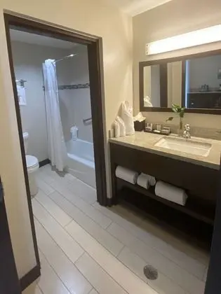 Premium Oda, 1 En Büyük (King) Boy Yatak, Şehir Manzaralı