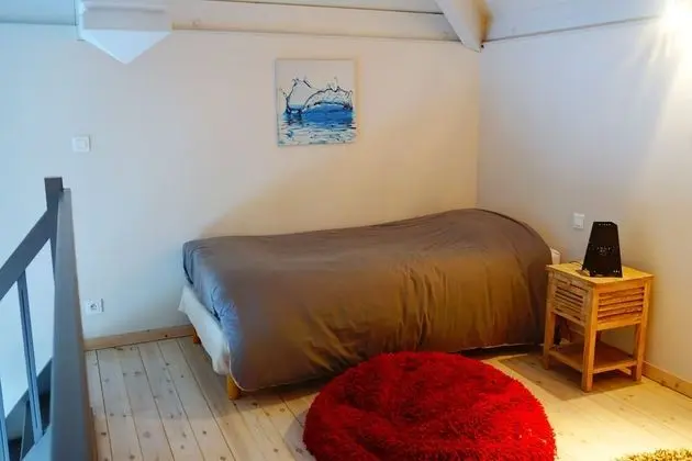 Süit (Ile aux Oiseaux)