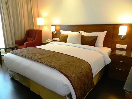 Deluxe İki Ayrı Yataklı Oda, 1 En Büyük (King) Boy Yatak, Sigara İçilmez, Şehir Manzaralı