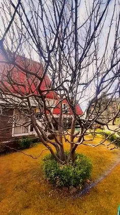 Kır Evi, Birden Çok Yatak (Swiss Duplex)
