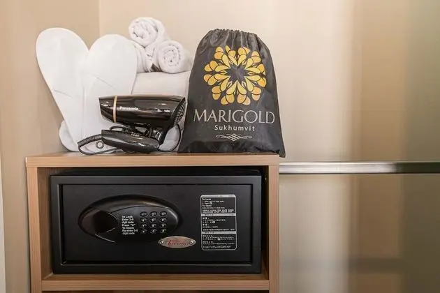 Deluxe İki Ayrı Yataklı Oda, 1 Yatak Odası, Balkon, Şehir Manzaralı