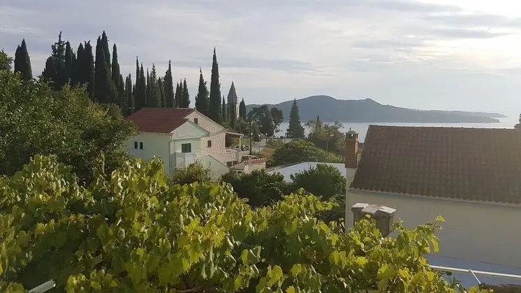 Ev (Villa Marija - terrace - H(9))