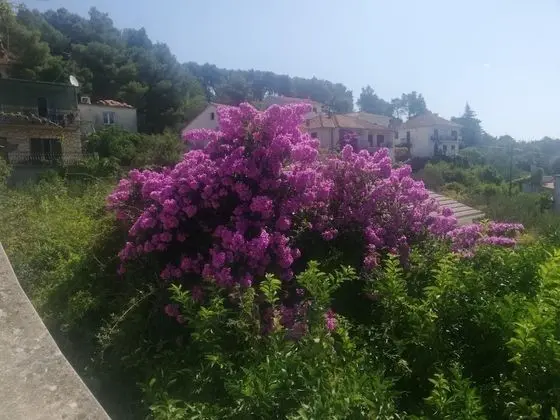 Apart Daire (Marija2  - close to the center - A1Ve)