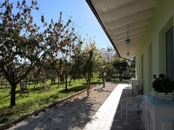 Deluxe Tek Büyük Yataklı Oda, Bahçe Manzaralı