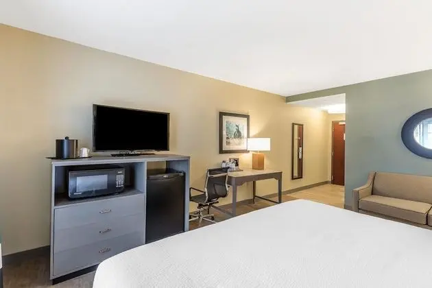 Deluxe Oda, 1 En Büyük (King) Boy Yatak ve Çekyat, Balkon, Marina Manzaralı