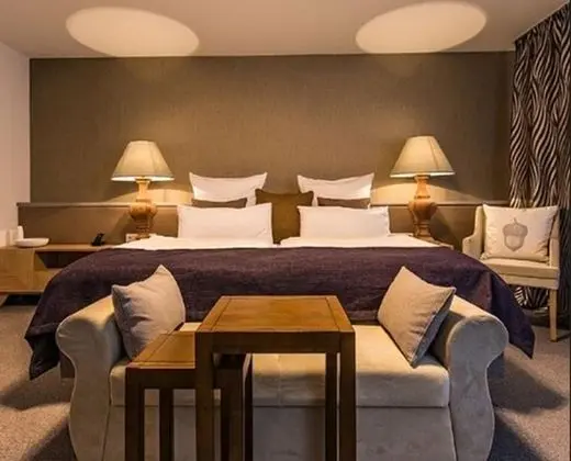 Comfort Tek Büyük Yataklı Oda, Göl Manzaralı