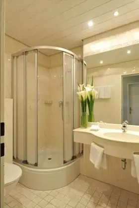 Standard Tek Büyük Yataklı Oda, Göl Manzaralı