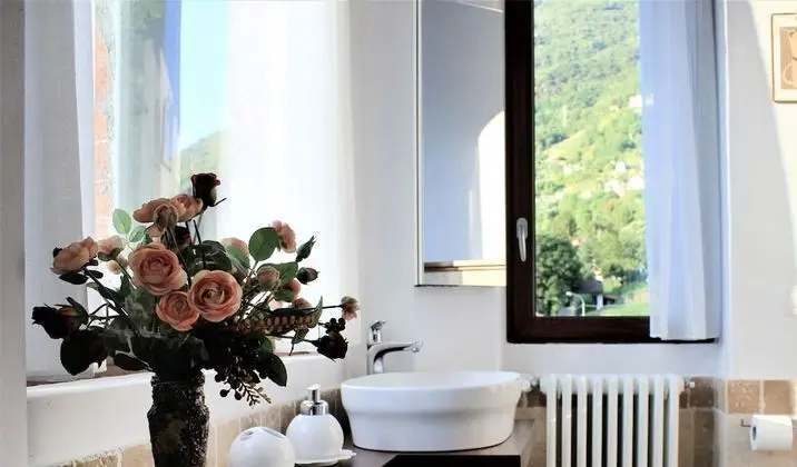 Superior Tek Büyük Yataklı Oda, Göl Manzaralı (Bellagio )