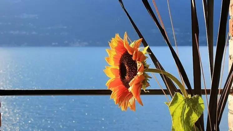 Superior Tek Büyük Yataklı Oda, Göl Manzaralı (Bellagio )