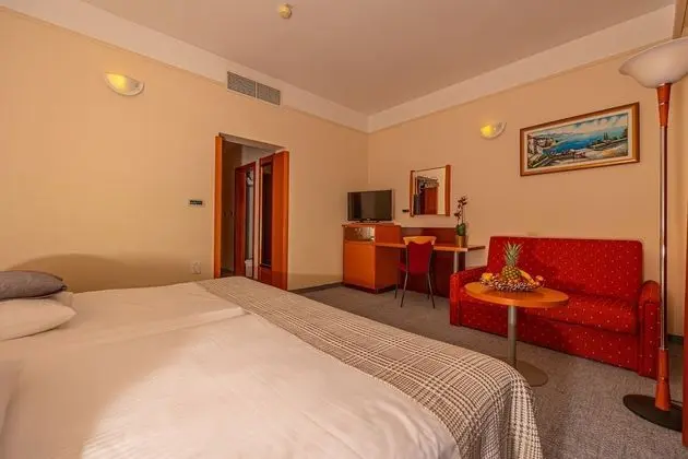 Tek Büyük veya İki Ayrı Yataklı Oda, Balkon, Park Manzaralı