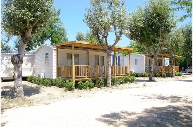 Comfort Oda, 1 Yatak Odası (Pet Friendly)