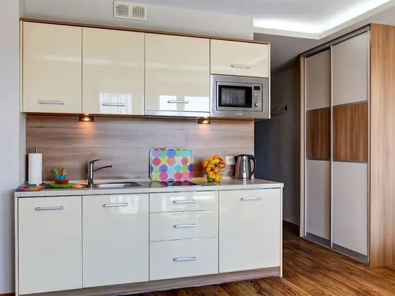 Apart Daire, 1 Yatak Odası