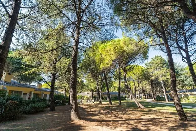 Comfort Bungalov (Pet Friendly)