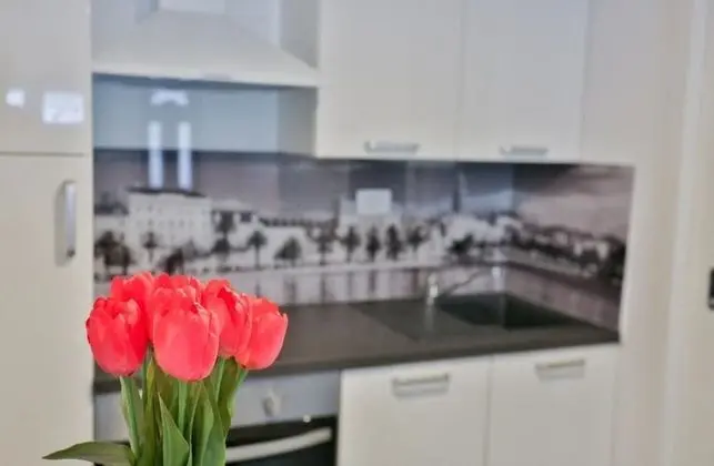 Stüdyo (Marina - with parking - SA1(2))