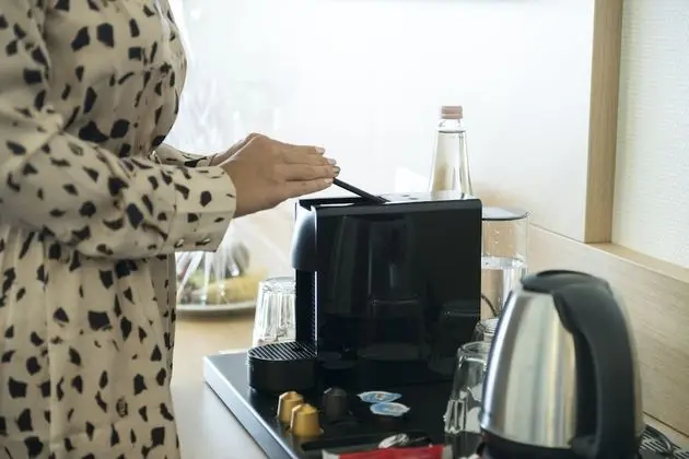 Superior Tek Büyük veya İki Ayrı Yataklı Oda