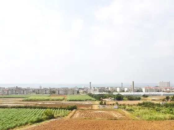 Standard İki Ayrı Yataklı Oda, 2 Tek Kişilik Yatak, Okyanus Manzaralı