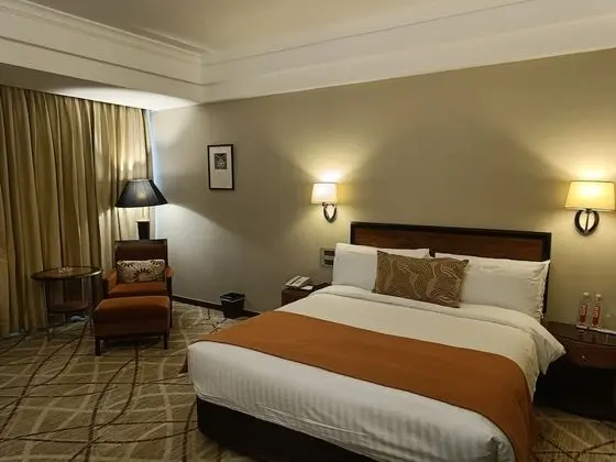 Deluxe Süit, 1 Çift Kişilik Yatak