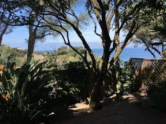 Standard Büyük Yataklı Tek Kişilik Oda