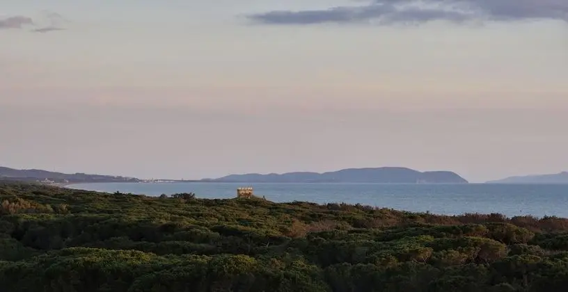 Superior Tek Büyük Yataklı Oda, Balkon, Kısmi Deniz Manzaralı