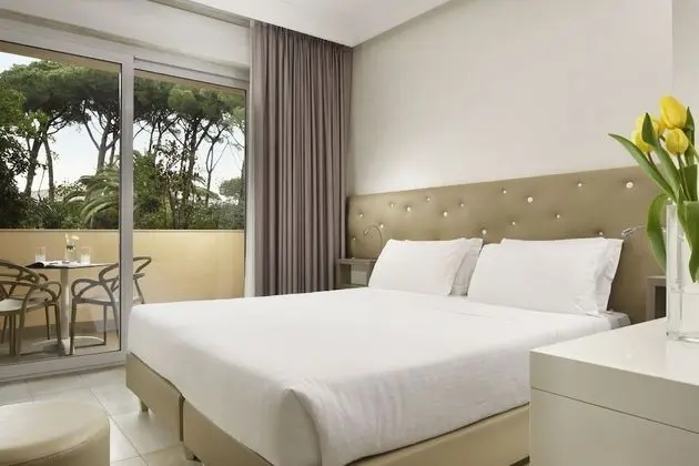 Tek Büyük Yataklı Oda, Balkon, Park Manzaralı (Elegance)