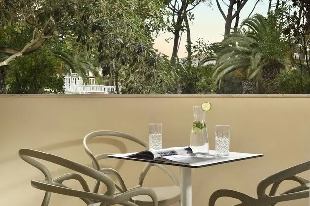 Tek Büyük Yataklı Oda, Balkon, Park Manzaralı (Elegance)