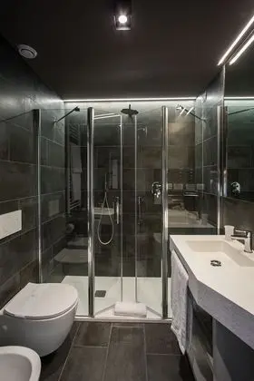 Tek Büyük Yataklı Oda, Balkon, Park Manzaralı (Elegance)