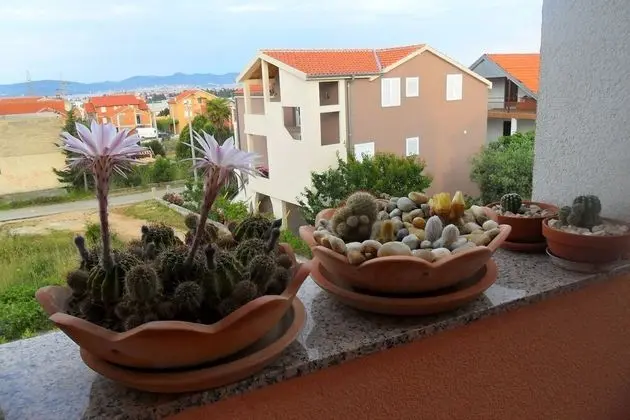 Apart Daire (Marinka - with backyard - A2(4))