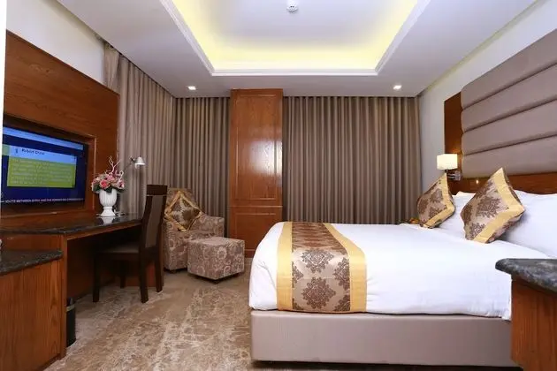 Premium Tek Büyük Yataklı Oda, 1 Yatak Odası, Buzdolabı, Park Manzaralı