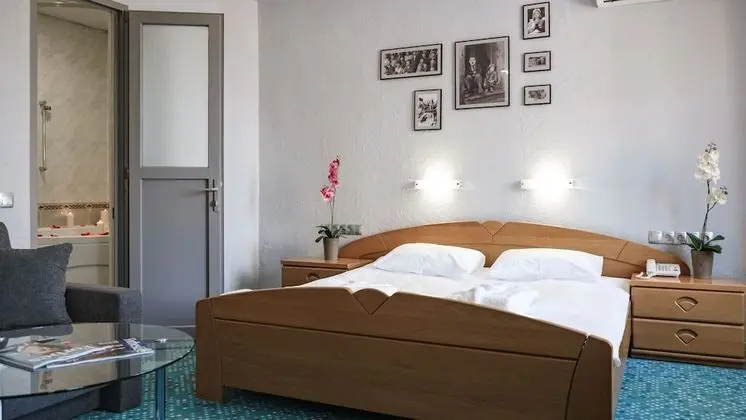 Superior Tek Büyük Yataklı Oda