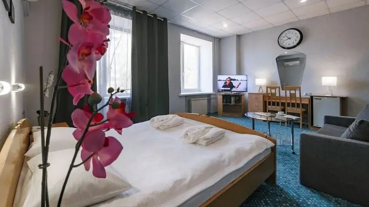 Superior Tek Büyük Yataklı Oda