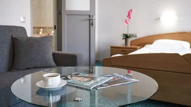 Superior Tek Büyük Yataklı Oda