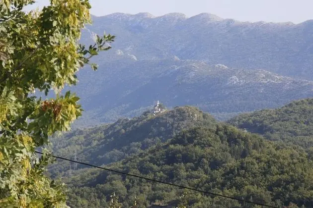 Ev (Mario - with pool - H(6+2))