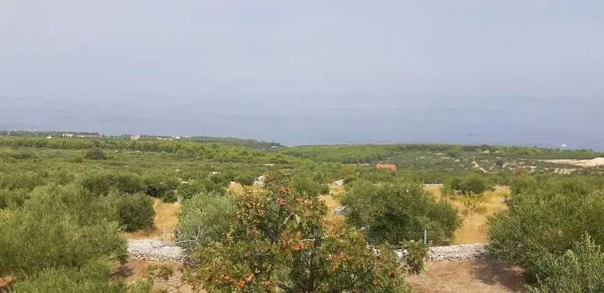 Ev (Mario - with pool - H(4+2))