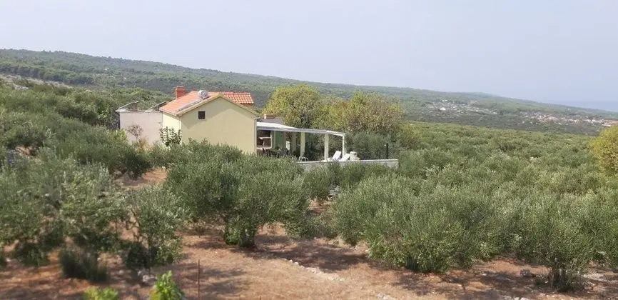 Ev (Mario - with pool - H(4+2))