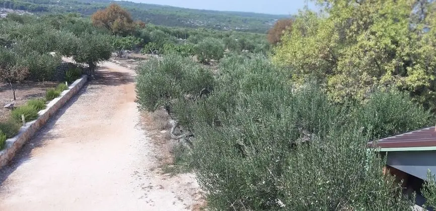 Ev (Mario - with pool - H(4+2))