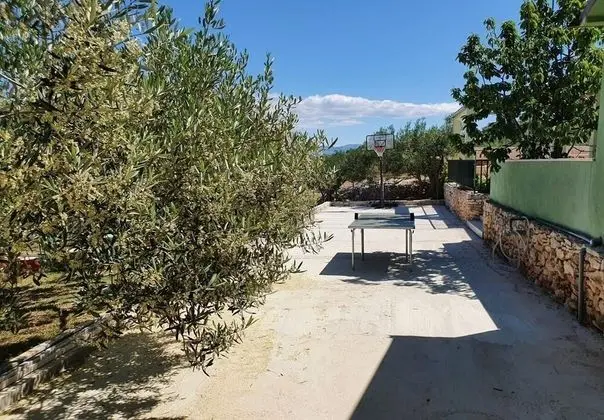 Ev (Mario - with pool - H(4+2))