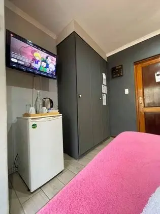 Televizyon