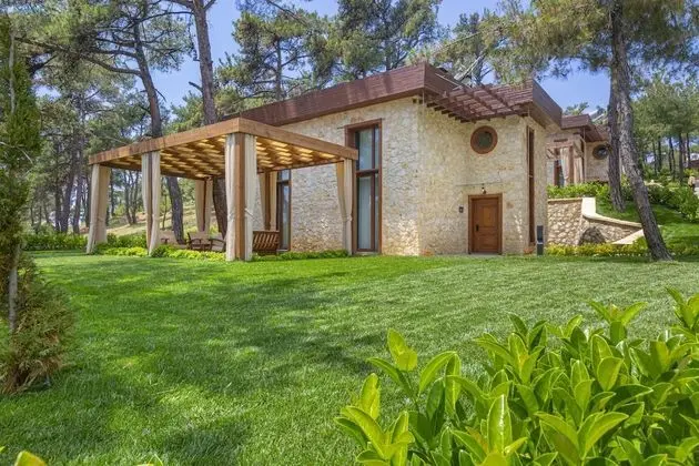 Executive Villa