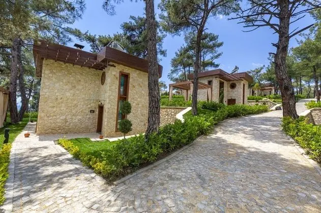 Executive Villa