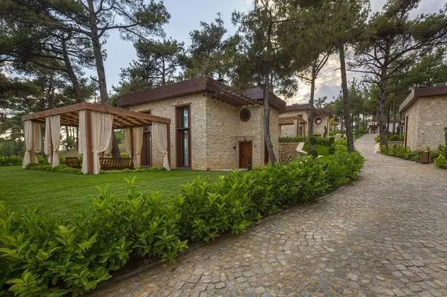 Executive Villa