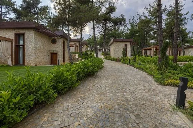Executive Villa