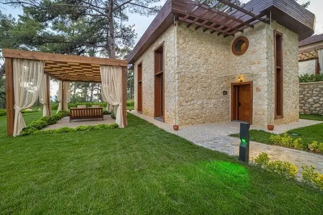 Executive Villa