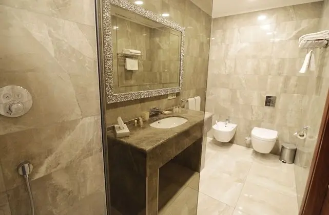 Standard Tek Büyük veya İki Ayrı Yataklı Oda, Deniz Manzaralı