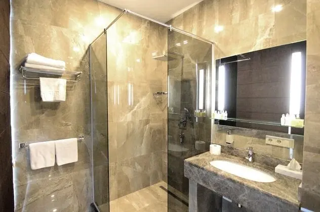 Standard Tek Büyük veya İki Ayrı Yataklı Oda, Şehir Manzaralı