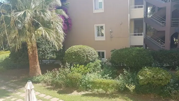 Apart Daire, 1 Yatak Odası (2-4 Adults)